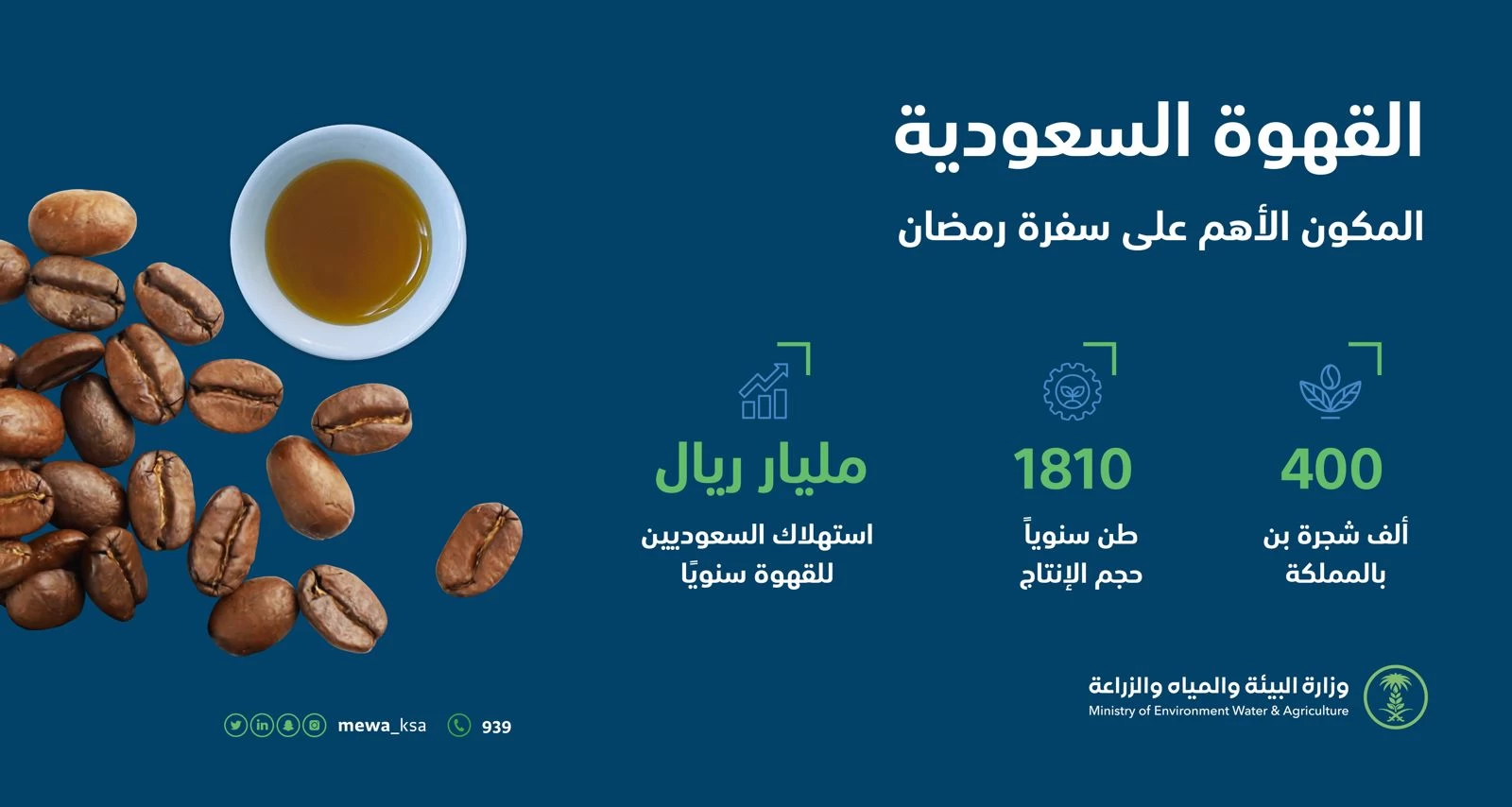 البن السعودي.... الاستثمار الأمثل في القطاع الواعد و 400 ألف شجرة تعزز سلاسل الإنتاج المحلي