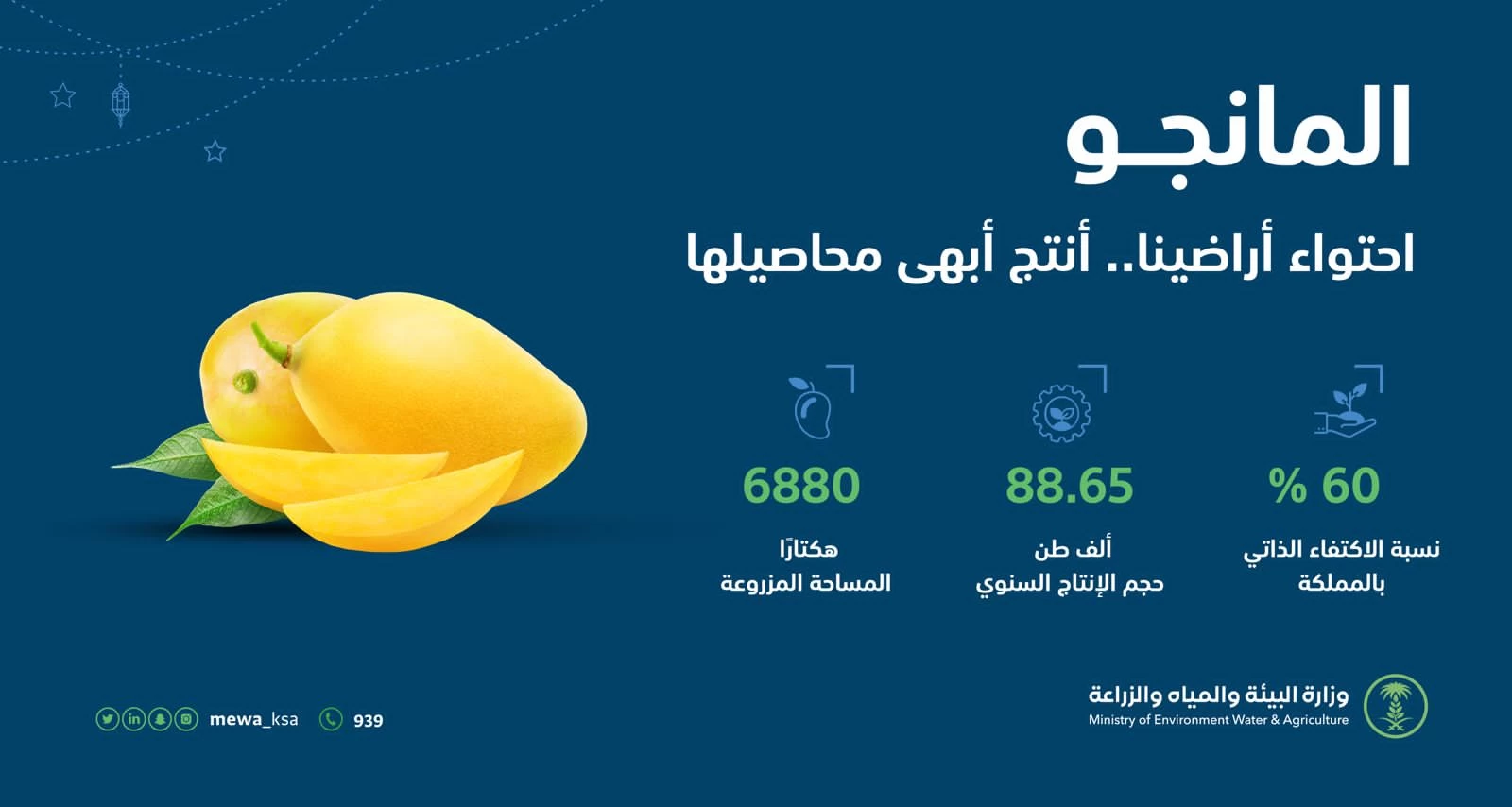 "البيئة ": الإنتاج المحلي من المانجو يتجاوز 88.6 ألف طن سنويًا محققًا60 % نسبة اكتفاء ذاتي