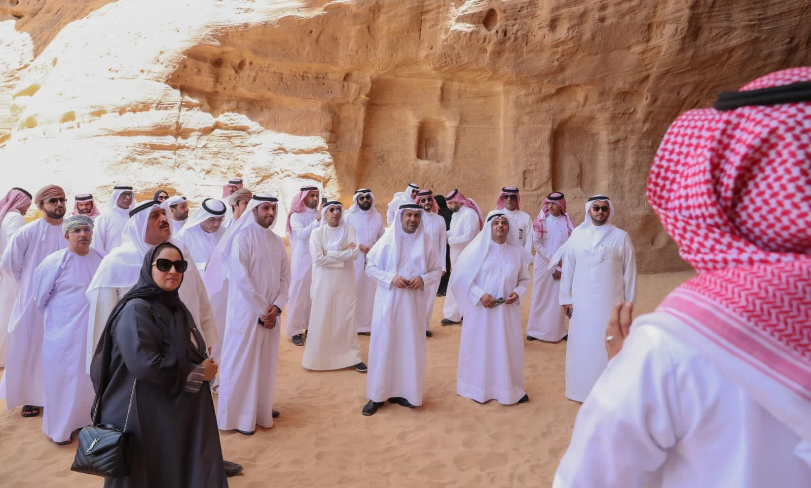 وزراء الصحة لدول مجلس التعاون الخليجي يتعرفون على العلا