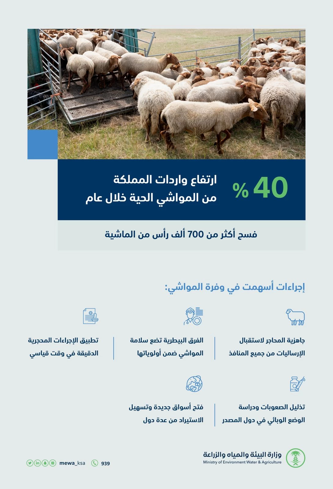 "البيئة": ارتفاع واردات المملكة من المواشي الحية 40% خلال عام
