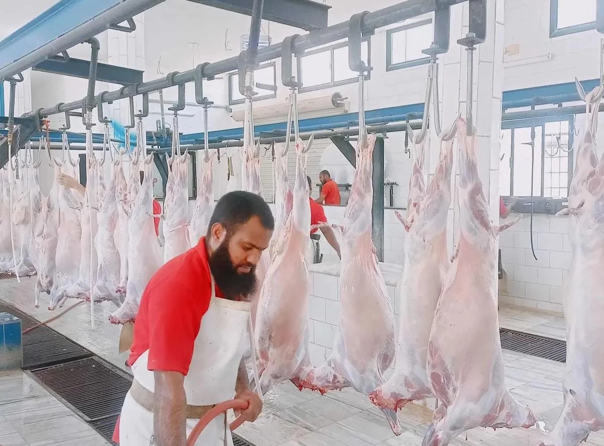 المسالخ النظامية بالباحة تستقبل نحو 7000 أضحية