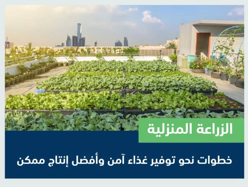 "البيئة": الزراعة المنزلية خطوة نحو تحقيق فوائد بيئية وصحية وتوفير غذاء آمن