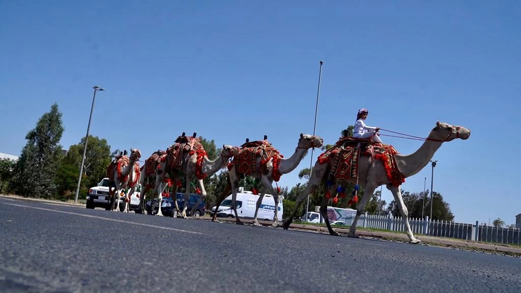 الطائف على موعد غداً مع إنطلاق فعاليات أكبر قافلة على مستوى العالم والمسجلة لدى موسوعة غينيس للارقام القياسية