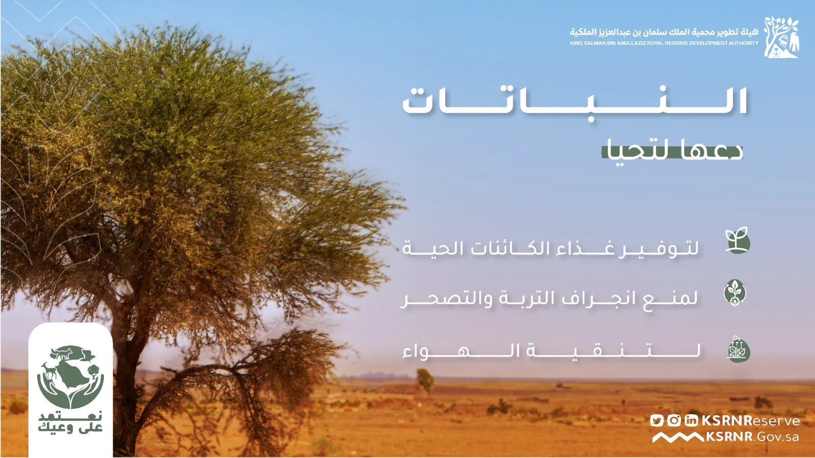 IMG-20230810-WA0181