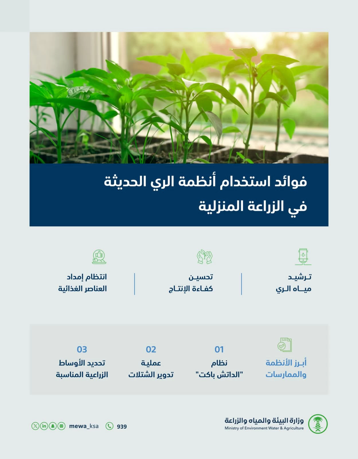 "البيئة" تحدد أنجح أنظمة الري الموفّرة لاستهلاك المياه في الزراعة المنزلية