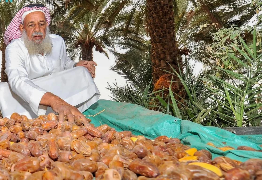 انطلاق مهرجان "الصفري عالمي" للتمور في بيشة