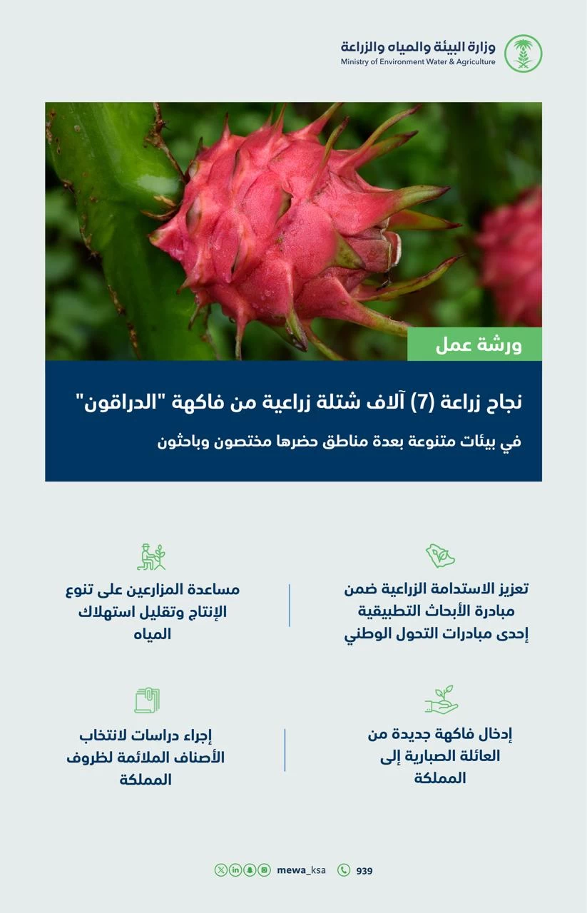 "البيئة" تنجح في زراعة (7) آلاف شــتلة زراعيــة من فاكهة "الدراقون" في بيئات متنوعة بمناطق المملكة