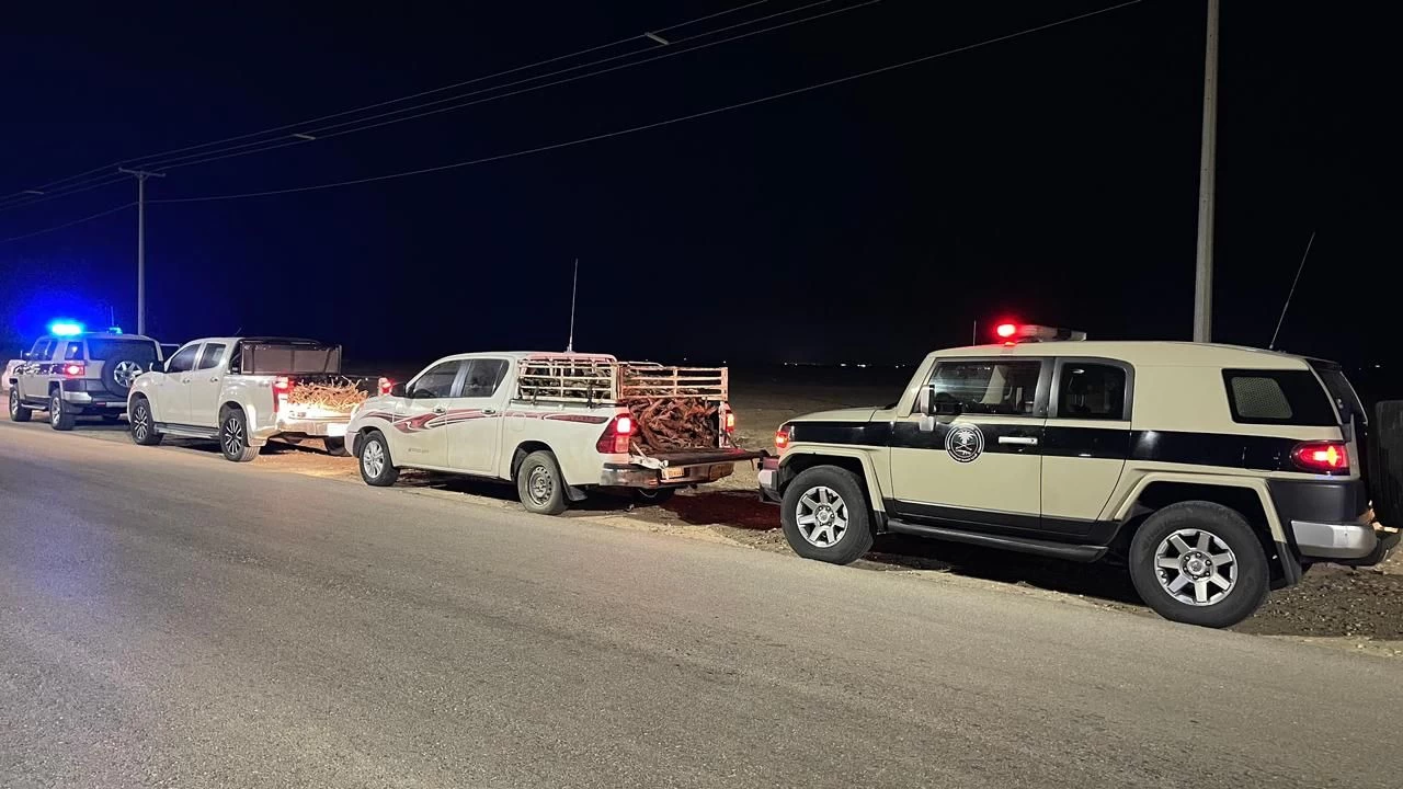 دوريات المجاهدين بالمنطقة الشرقية تضبط مخالفين لنظام البيئة