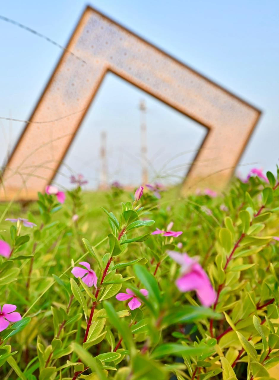 استعداداً لشتاء جازان غرس 130 الف زهرة بالطرق والميادين  