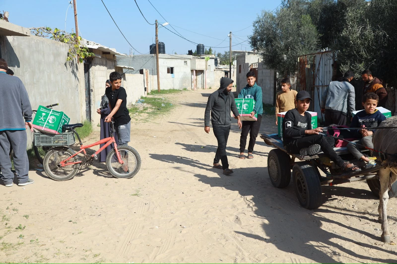 IMG-20240103-WA0246-1