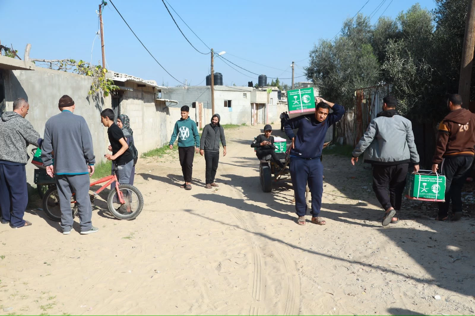 IMG-20240103-WA0247-1