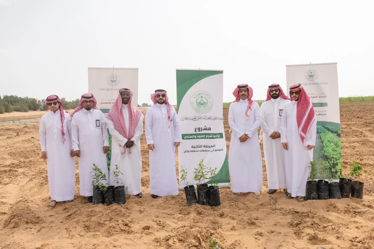 محافظ الطوال يستكمل المرحلة الثانية لزراعة أشجار العود والصندل بالمحافظة