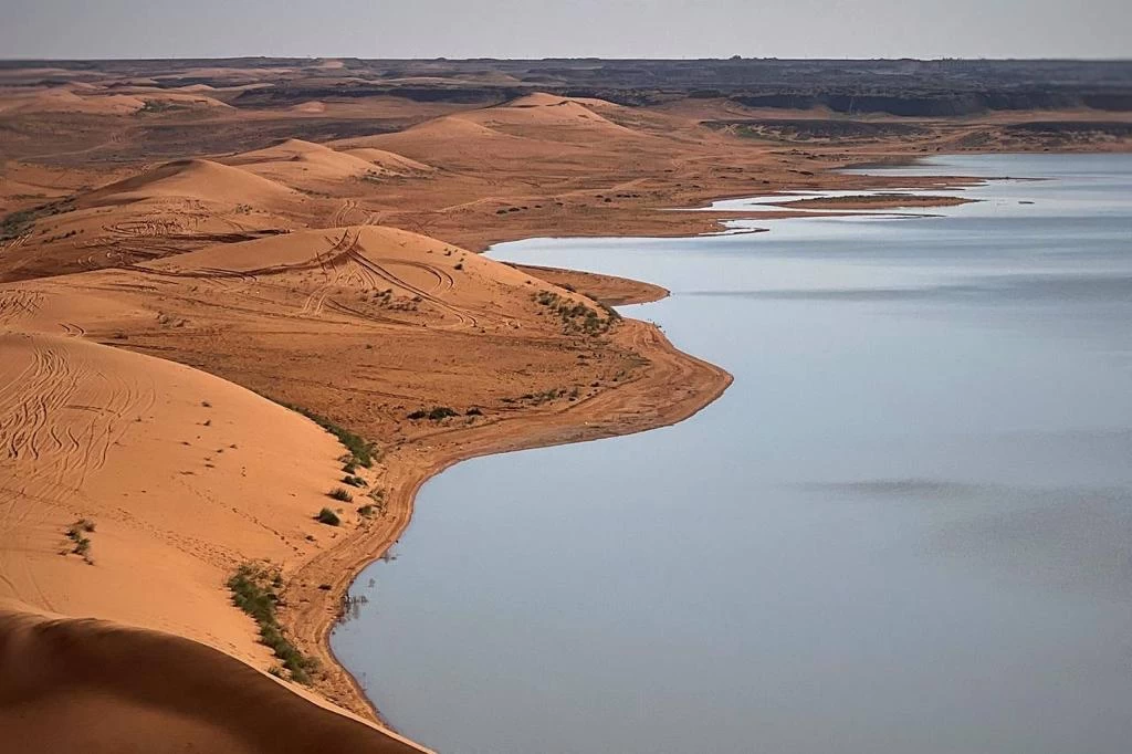 الخنفة..20 ألف كلم مربع من تنوع الحياة الفطرية في محمية الملك سلمان الملكية