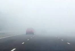 IMG-20240131-WA0126