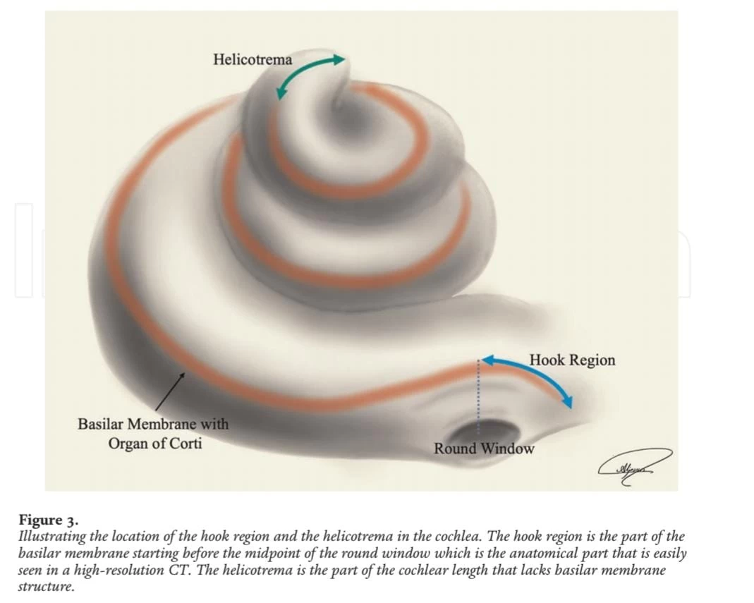 انجاز علمي سعودي في مجال تصميم زراعة القوقعة 