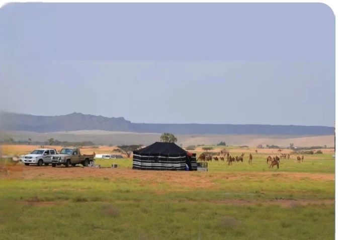 " سواحل عسير " تجربة فريدة تحت الغيوم ووسط أمواج البحر