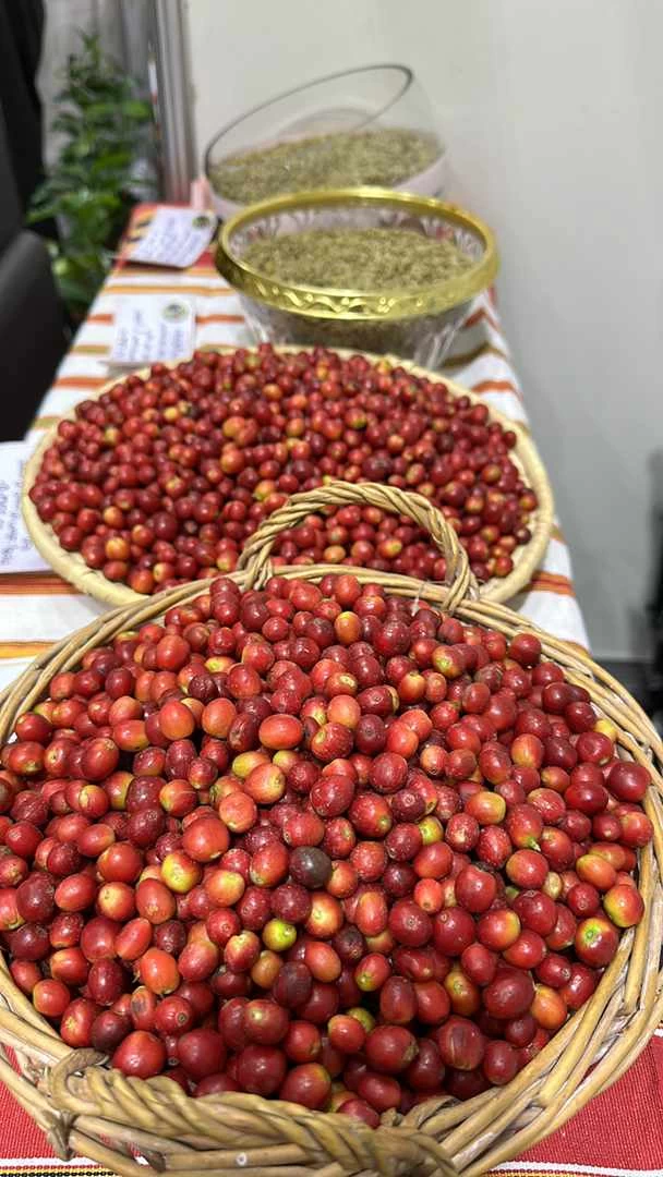 IMG-20240208-WA0299-1