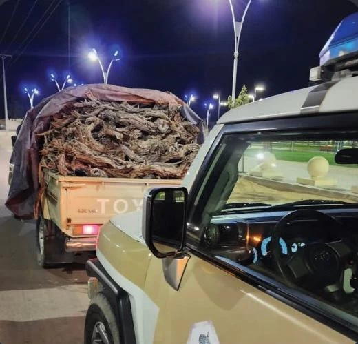 شرطة محافظة طبرجل بمنطقة الجوف تضبط مخالفًا لنظام البيئة