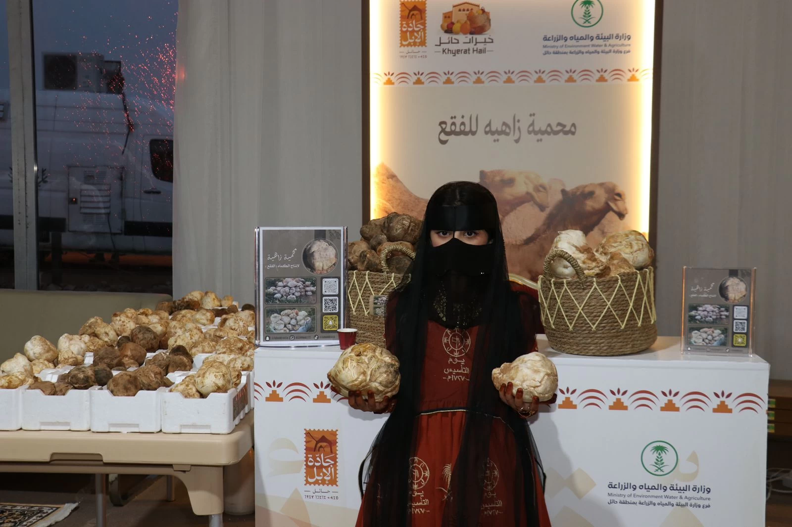 "البيئة والزراعة" تشارك في جادة الإبل في حائل 