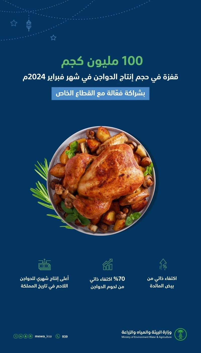 المملكة تحقق قفزة في قطاع الدواجن وتسجل رقماً قياسياً بإنتاج (100) مليون كجم في شهر فبراير 2024م