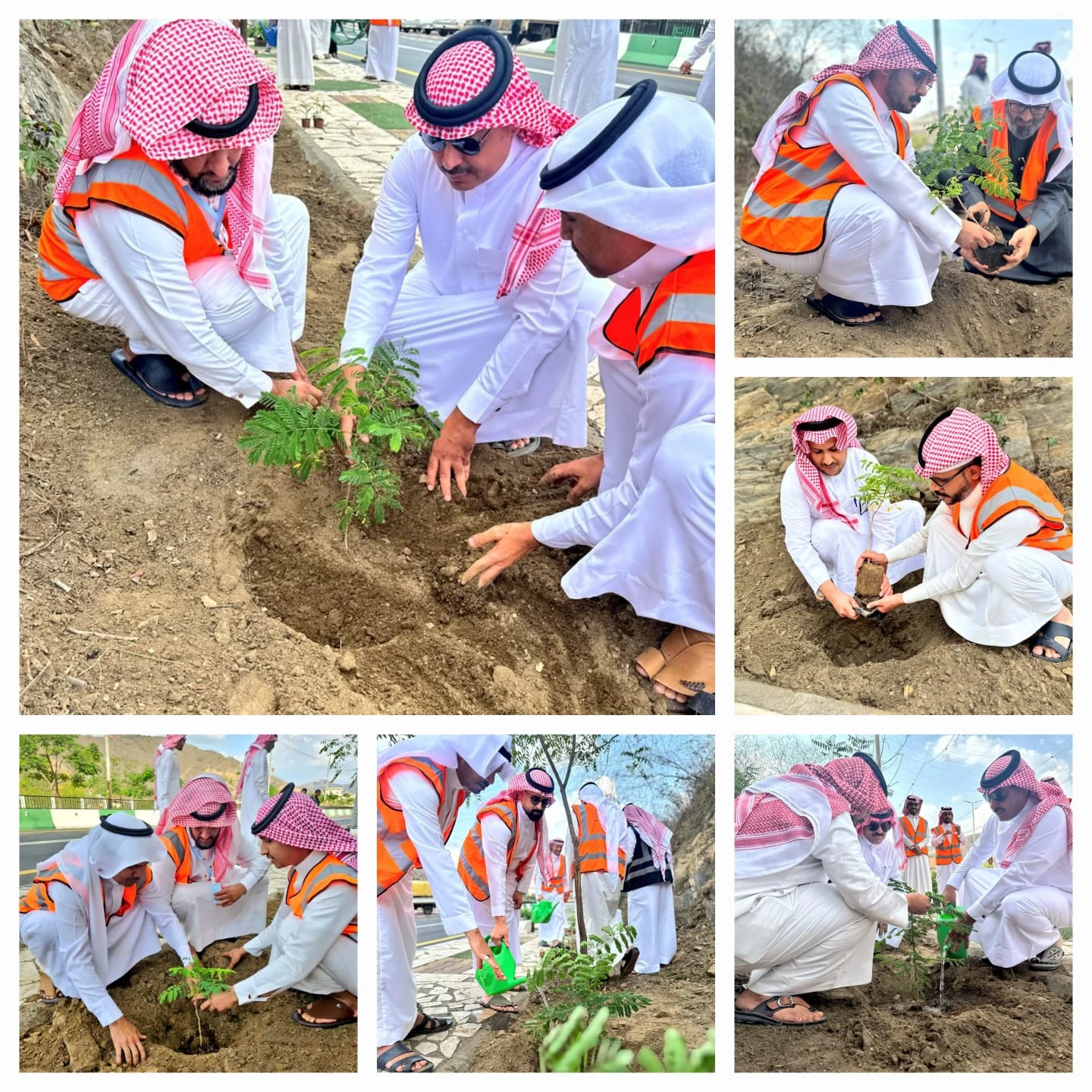 بلدية فيفاء تشارك في مبادرة السعودية الخضراء 