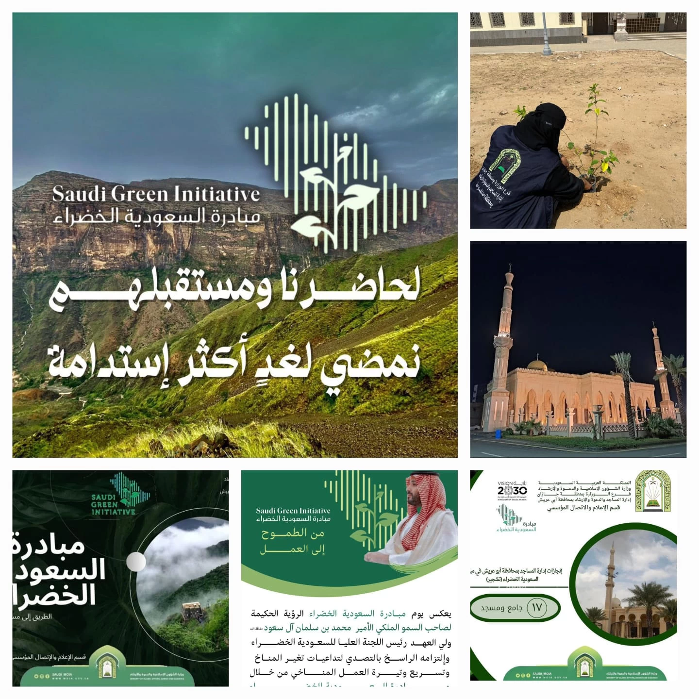 إسلامية جازان تقوم بتشجير أكثر من ٧٠٠ مسجد وجامع في المنطقة 