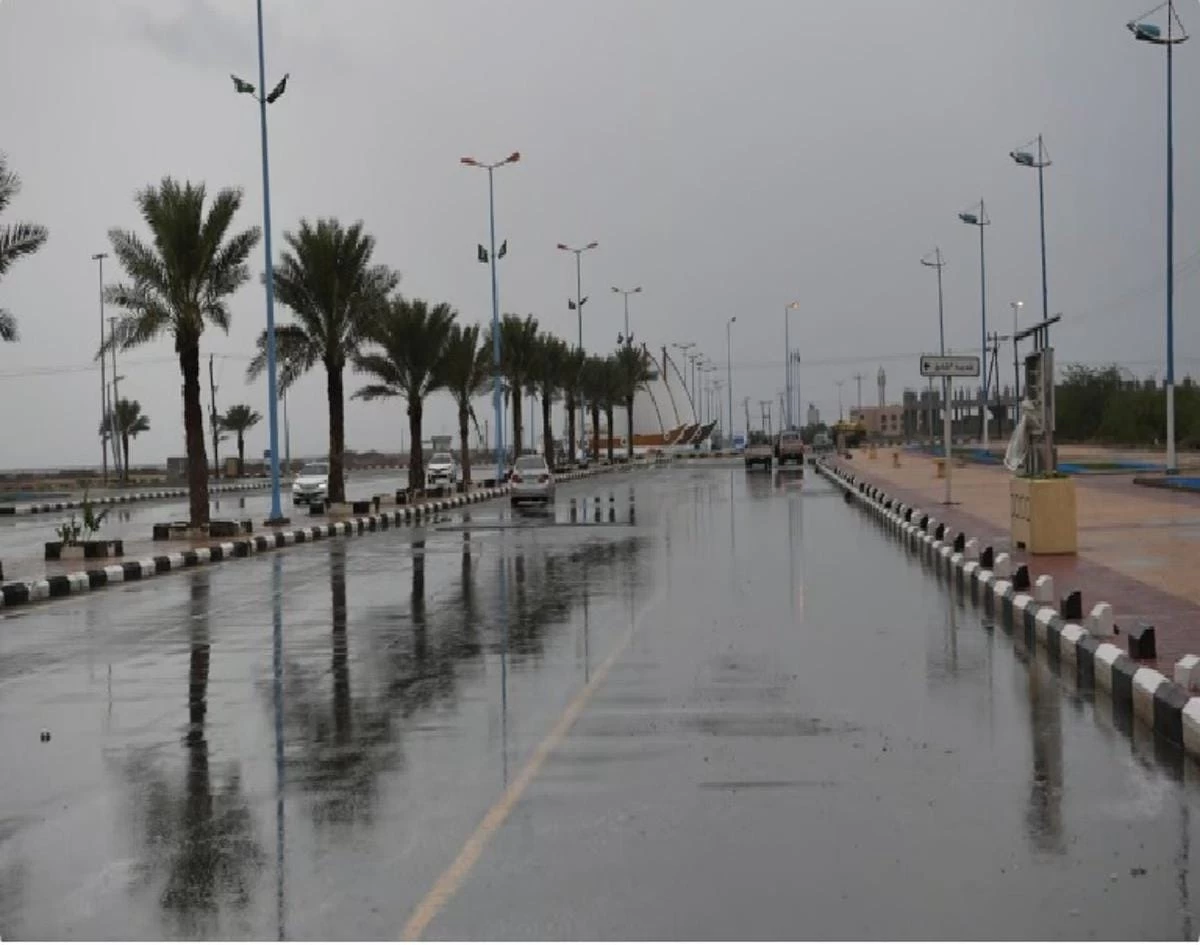 إنذار أحمر من الأرصاد .. أمطار غزيرة على منطقتي الرياض وجازان 