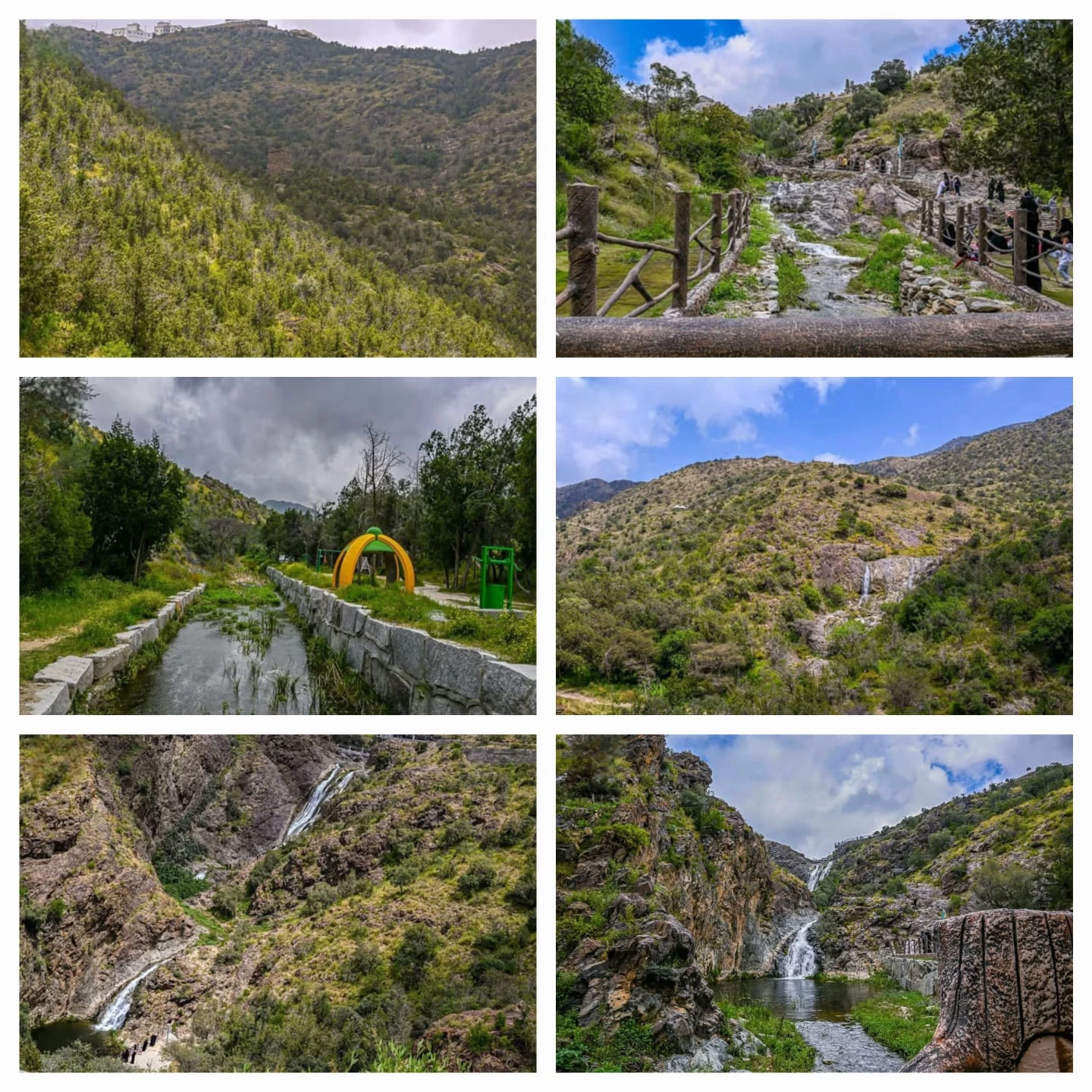 جبال وسهول الباحة تتحول إلى لوحات طبيعية خضراء