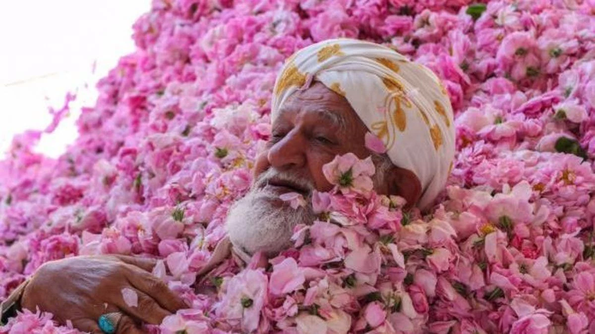 الأربعاء.. انطلاق مهرجان "مزارعي الورد الطائفي"