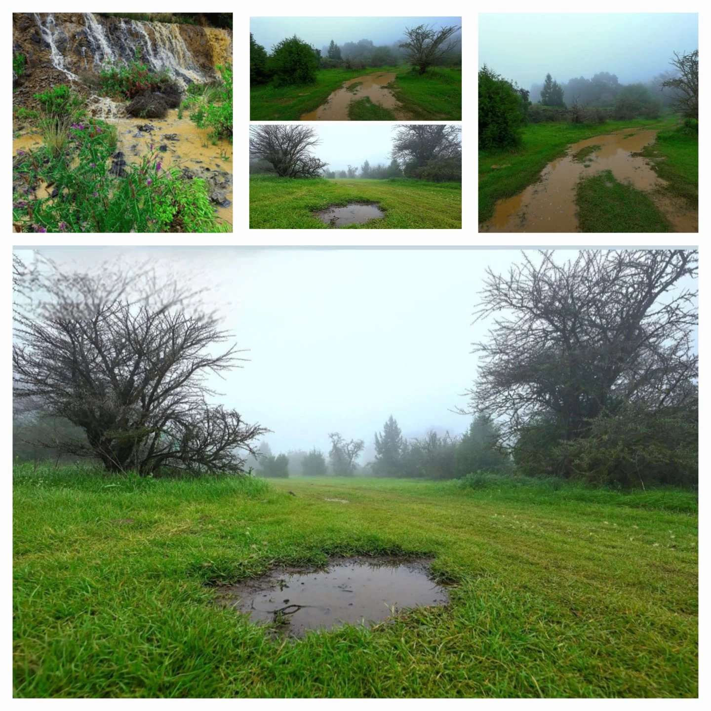 هطول أمطار غزيرة على منطقة عسير 