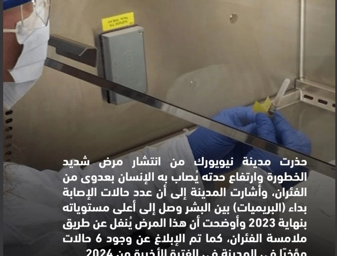 "مدينة نيويورك تصدر تحذيرًا طبيًا جديدًا يتعلق بتفشي الفئران على غرار فيروس كورونا"