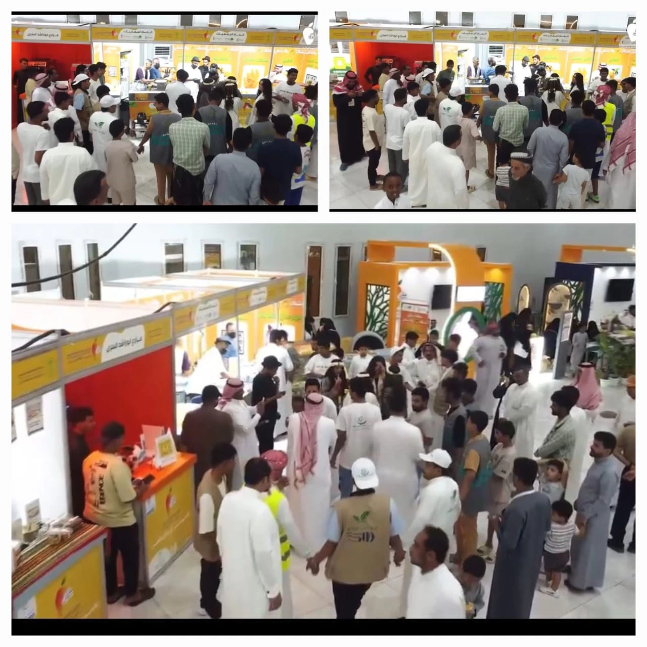 إتحاد الجمعيات: مشاركتنا بمهرجان المانجو الـ20 لتسويق منتجات «جازان» 