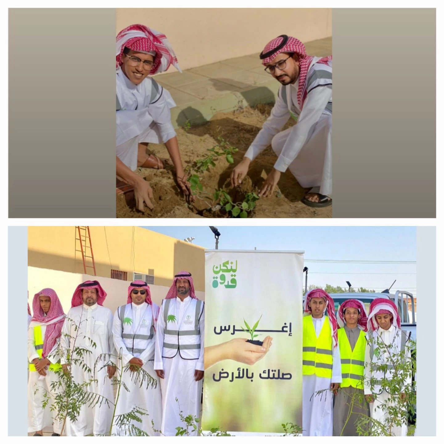 " بيئة مكة " تنفّذ حملات لتشجير المدارس بمحافظة الليث