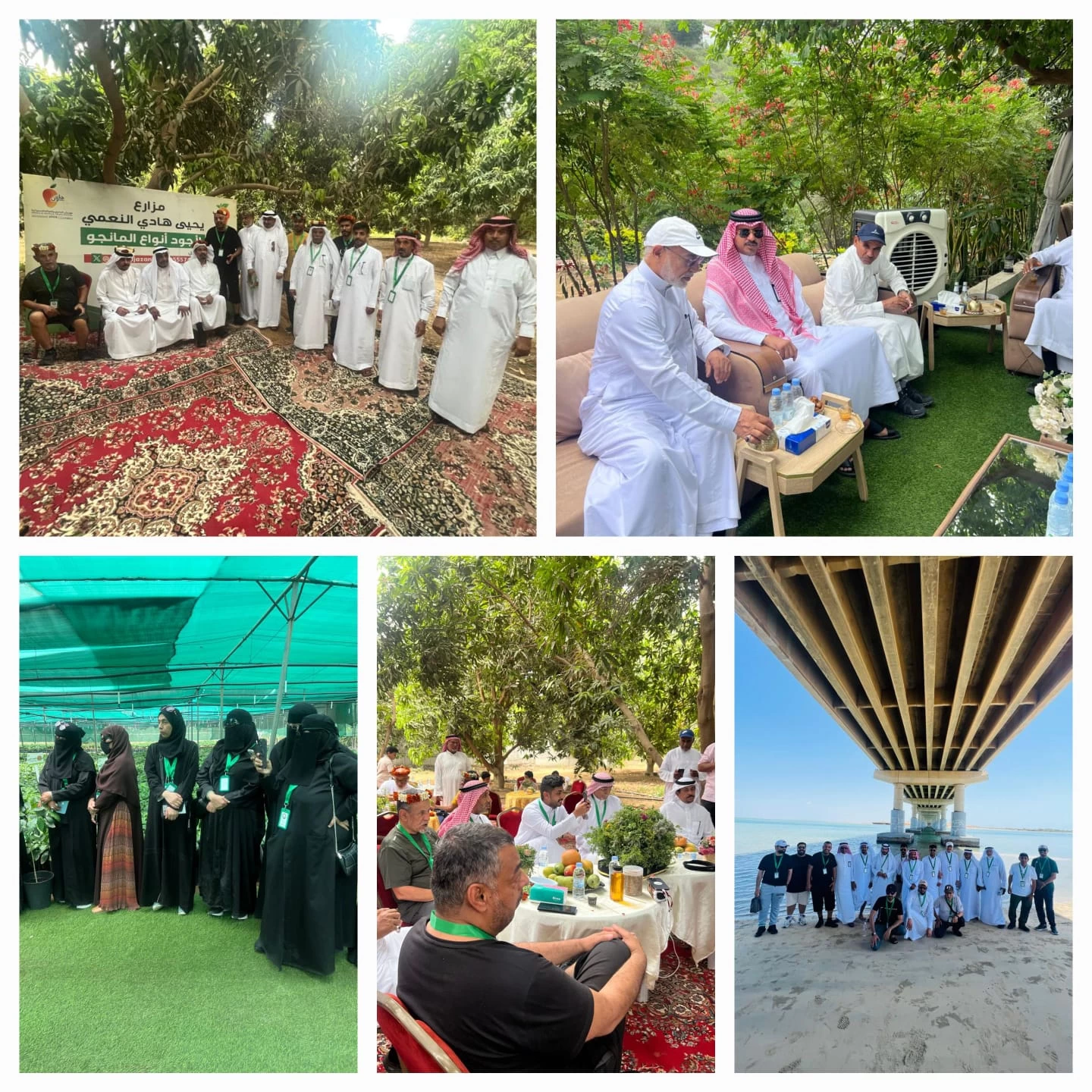 الجمعية الجغرافية الخليجية تزور منطقة جازان 