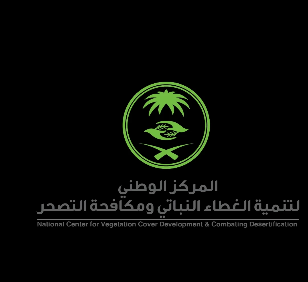 "الغطاء النباتي": إصدار نحو 1300 ترخيص لبيع الحطب والفحم المستورد
