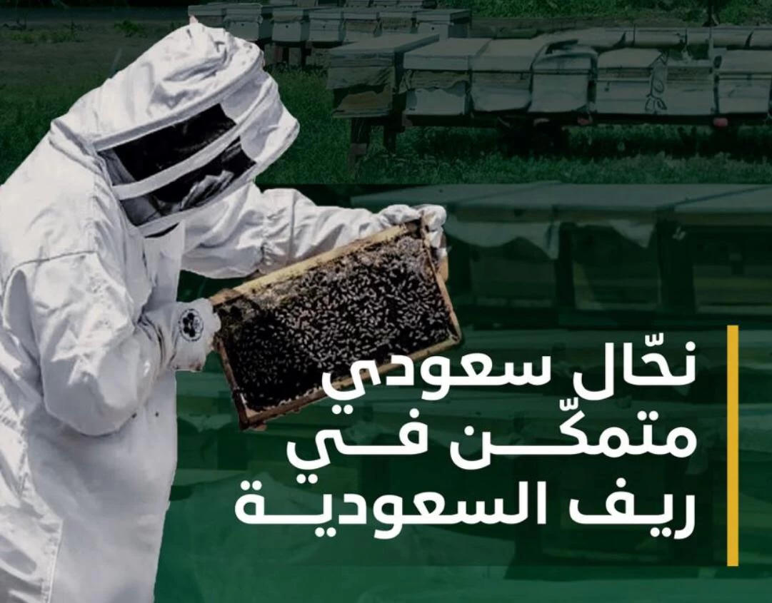 ريف السعودية" يحتفي باليوم العالمي للنحل بإنجازات بارزة في دعم قطاع العسل بالمملكة