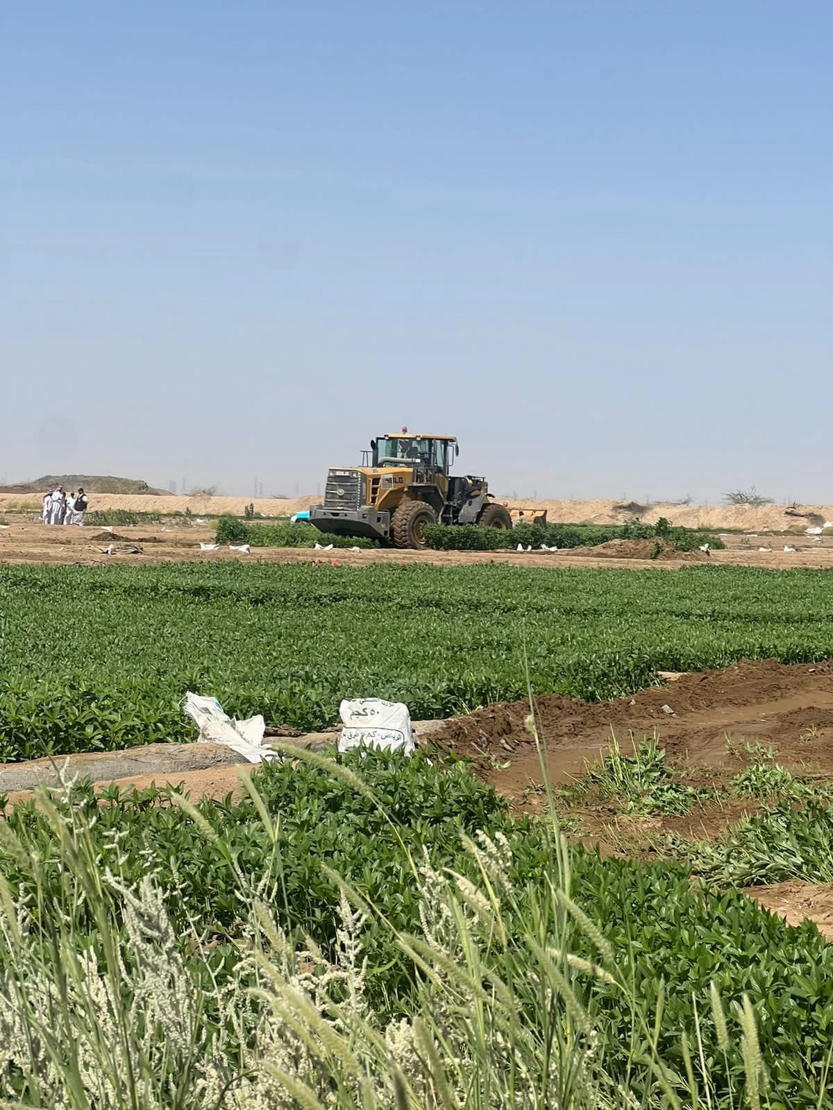 إزالة 4 مزارع بمكة تُسقى بمياه الصرف الصحي.. على مساحة 70 ألف متر مربع 