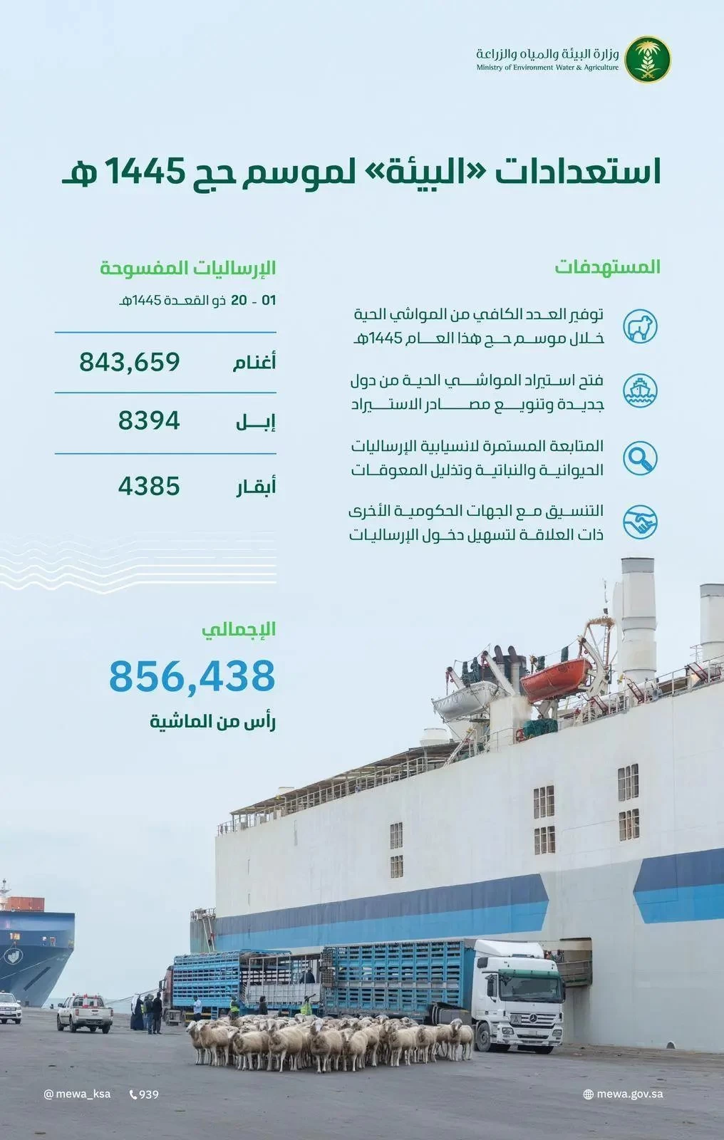 "البيئة" تفسح 856,438 ألف رأس من الماشية خلال 20 يومًا لتلبية الطلب خلال موسم حج 1445