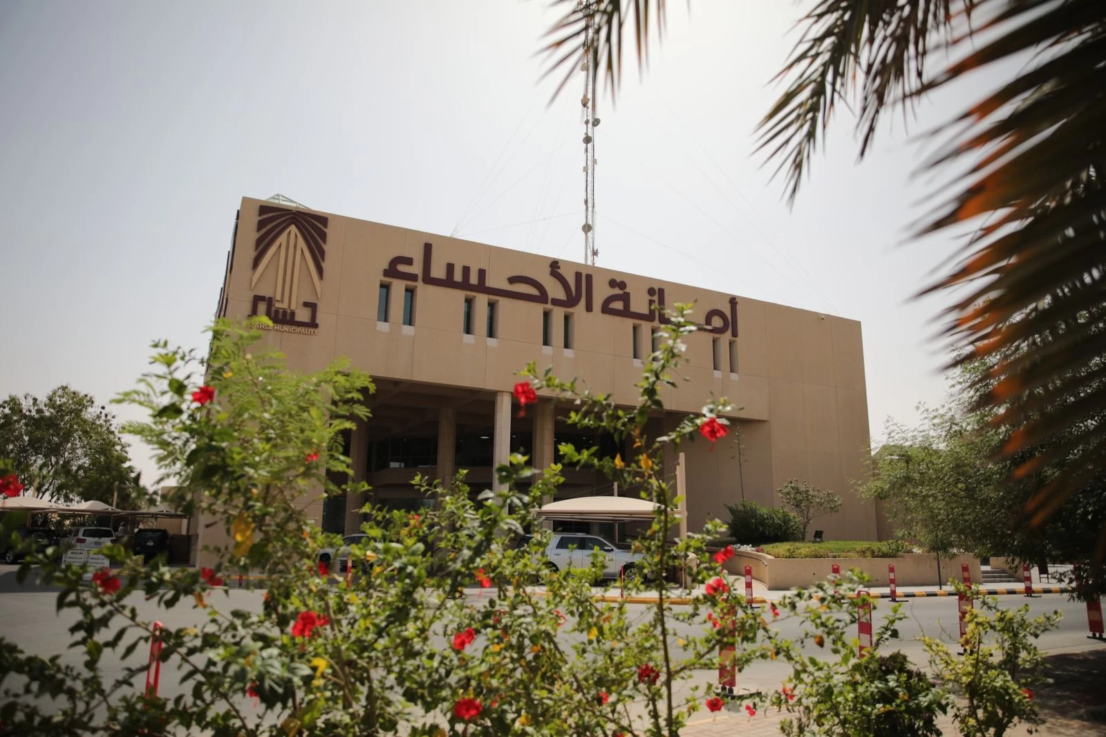 عبر منصة " بلدي " .. أمانة الاحساء تُطلق خدمة تصريح ذبح الاضاحي في المطابخ والمطاعم