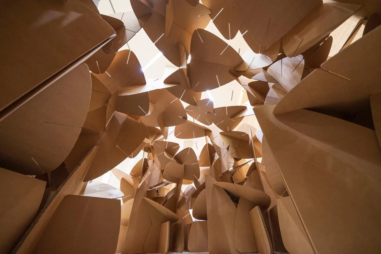 IMG-20240613-WA0407-1