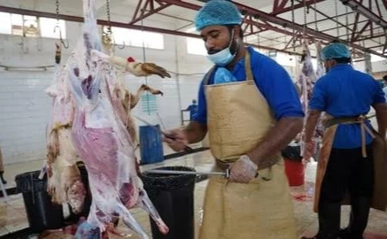 مسالخ منطقة جازان تستقبل 5788 ذبيحة في أول أيام عيد الأضحى