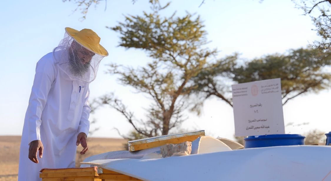 محمية الإمام تركي بن عبدالله تعلن انطلاق موسم النحالين