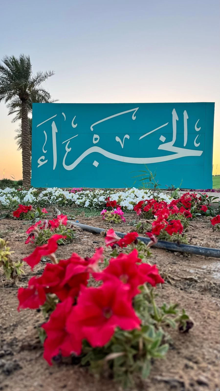 بلدية الخبراء تعالج التشوهات البصرية عبر فرقها الميدانية خلال شهر يونيو لعام 2024م