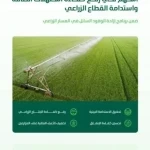 "البيئة": إيصال الكهرباء لـ 213 مزرعة ضمن برنامج إزاحة الوقود السائل أسهم في تخفيض تكلفة الطاقة بنسبة 60%