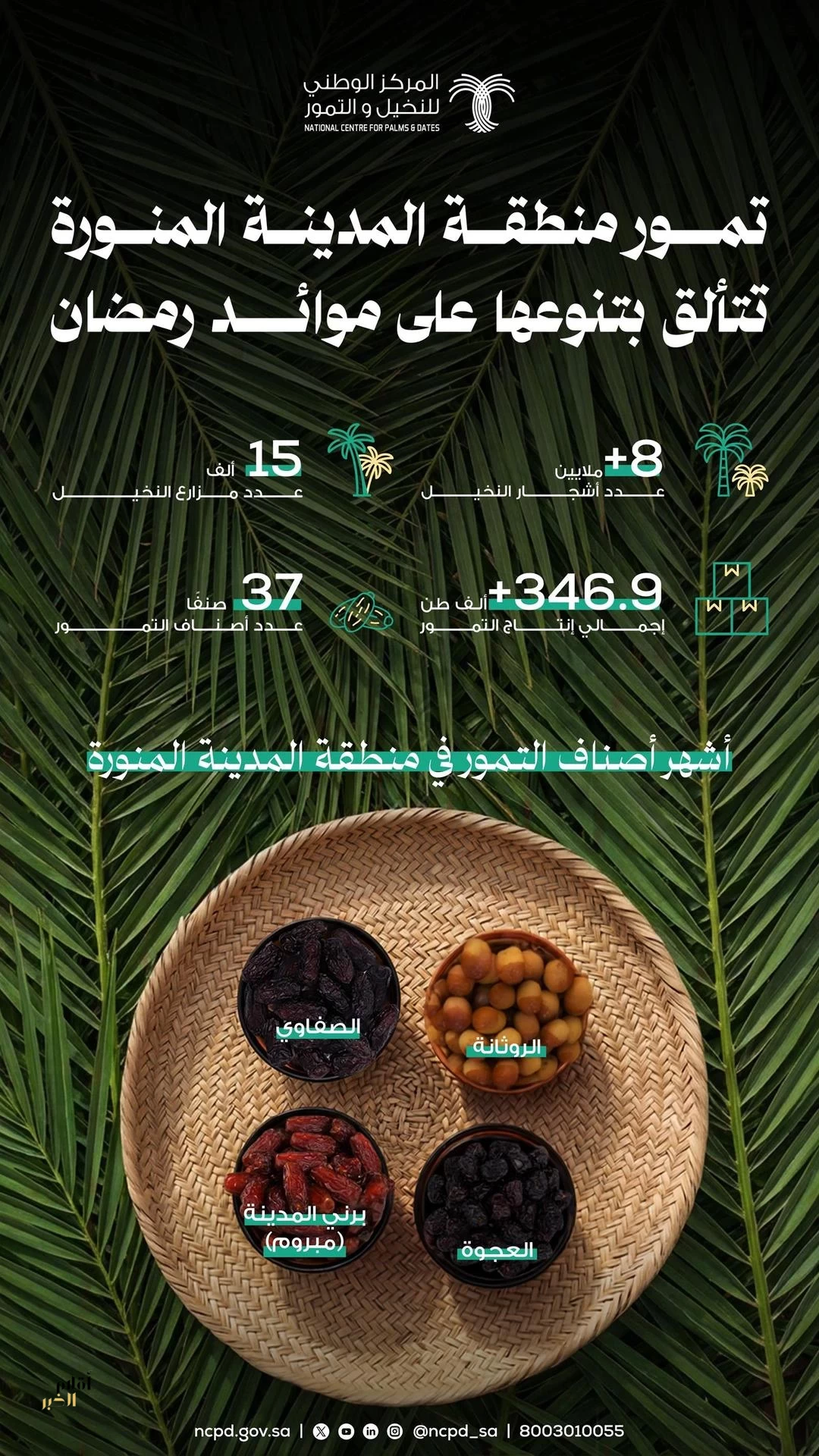 5wWSf5tMKTbnVFNVItI8Bi8xhhYAhGYyyUx6KtaK