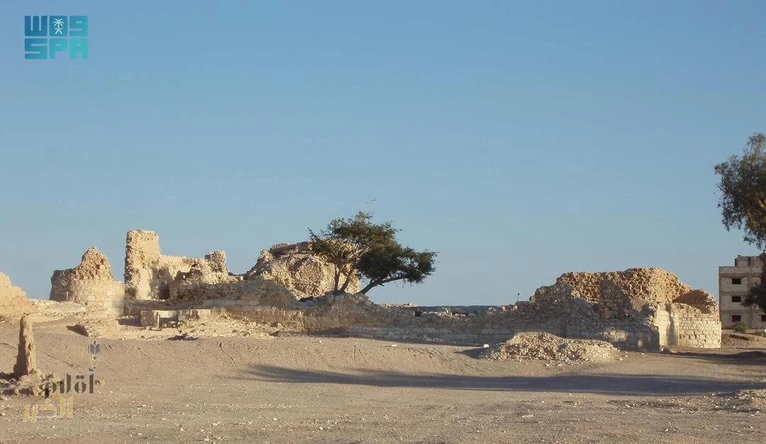 طريق الحج المصري إلى مكة.. إرث ثقافي يطرق أبواب اليونسكو