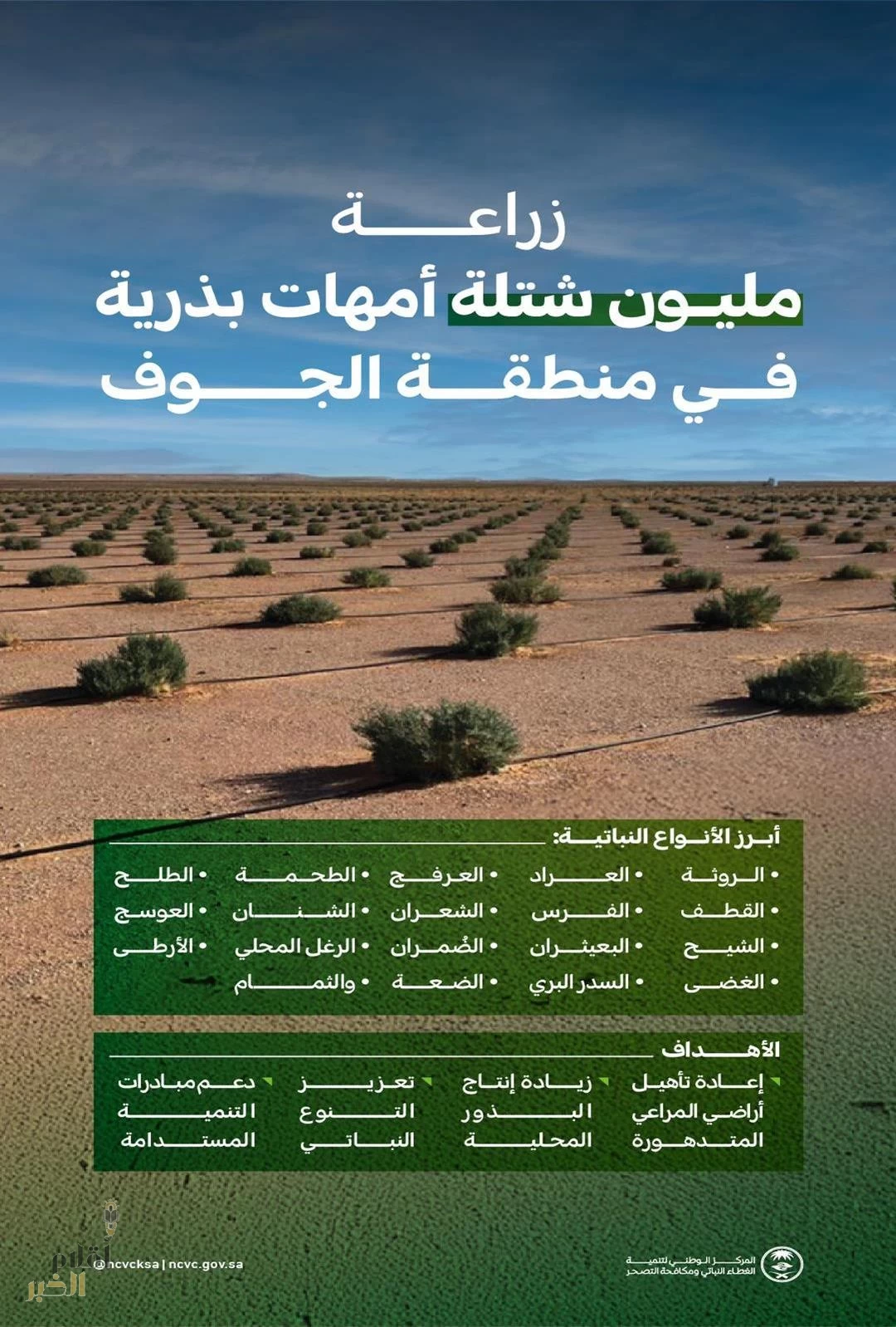 "الغطاء النباتي" يزرع مليون شتلة لأمهات البذور بمنطقة الجوف لتنمية المراعي الطبيعية