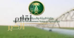 "البيئة" تؤكّد أهمية التكامل العربي في تطوير نظم إنتاج وحفظ البذور لتحقيق الأمن الغذائي