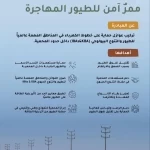 مبادرة "تركيب عوازل على خطوط الكهرباء" لحماية الطيور المهاجرة من الصعق الكهربائي