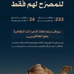 هيئة تطوير محمية الإمام عبدالعزيز بن محمد الملكية ترصد 257 مخالفة للرعي الموسمي